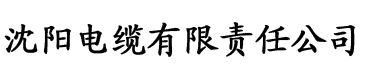 香蕉视频麻豆91电缆厂logo